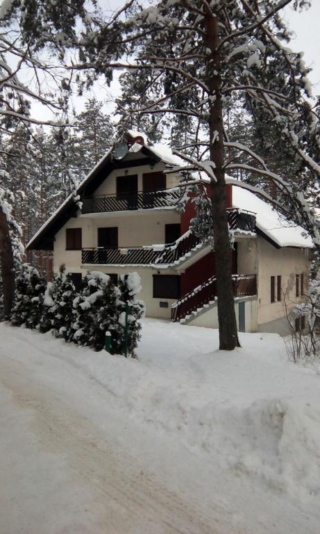 Apartment 9 Gorska Vila Zlatibor Luaran gambar