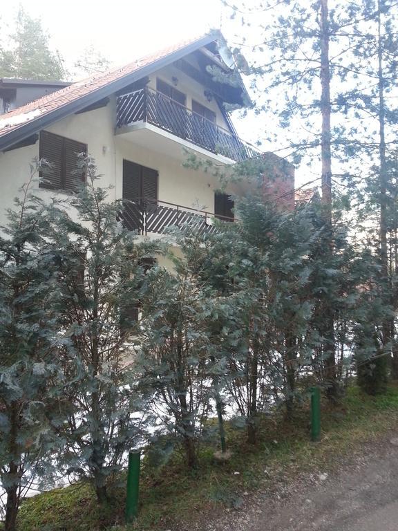Apartment 9 Gorska Vila Zlatibor Luaran gambar