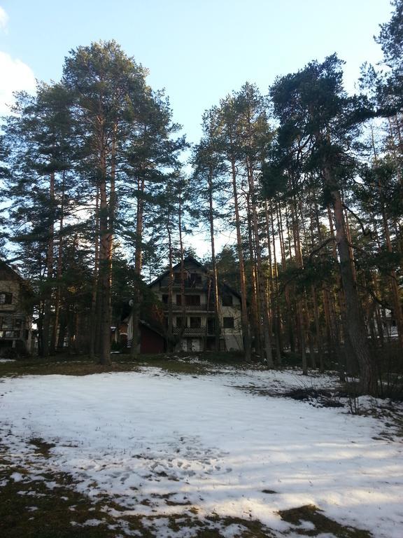 Apartment 9 Gorska Vila Zlatibor Luaran gambar