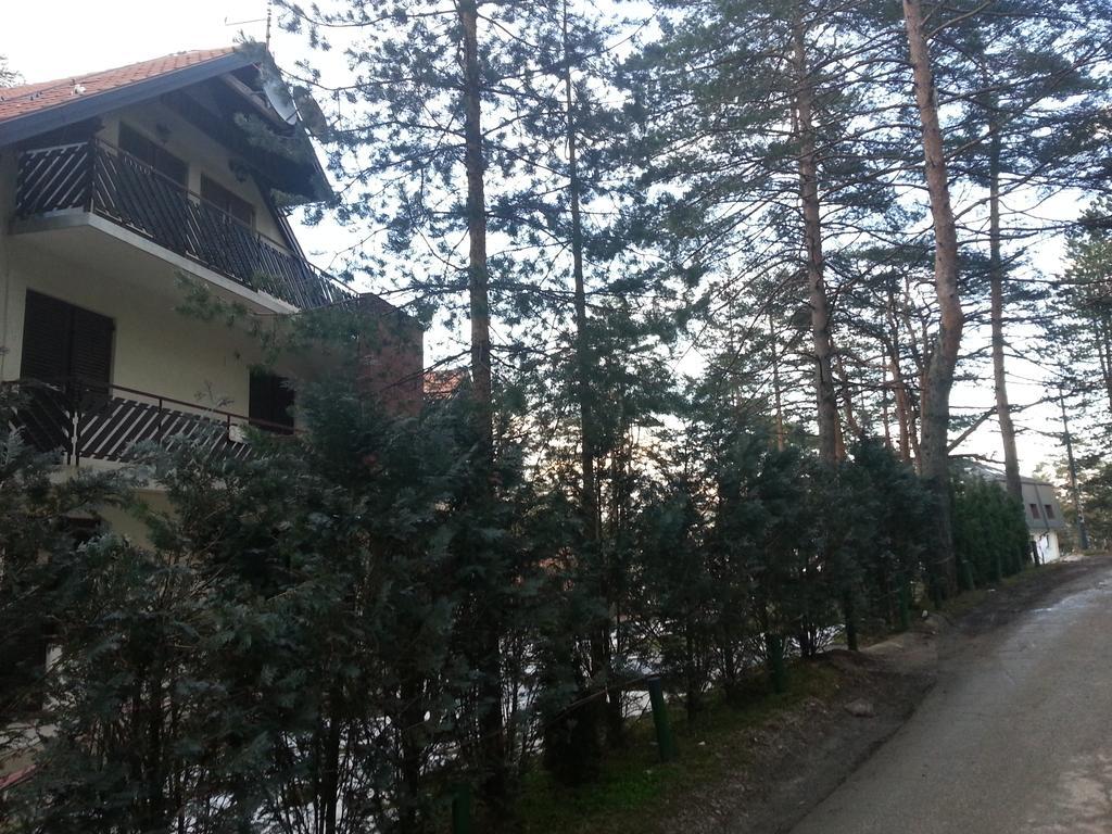 Apartment 9 Gorska Vila Zlatibor Luaran gambar